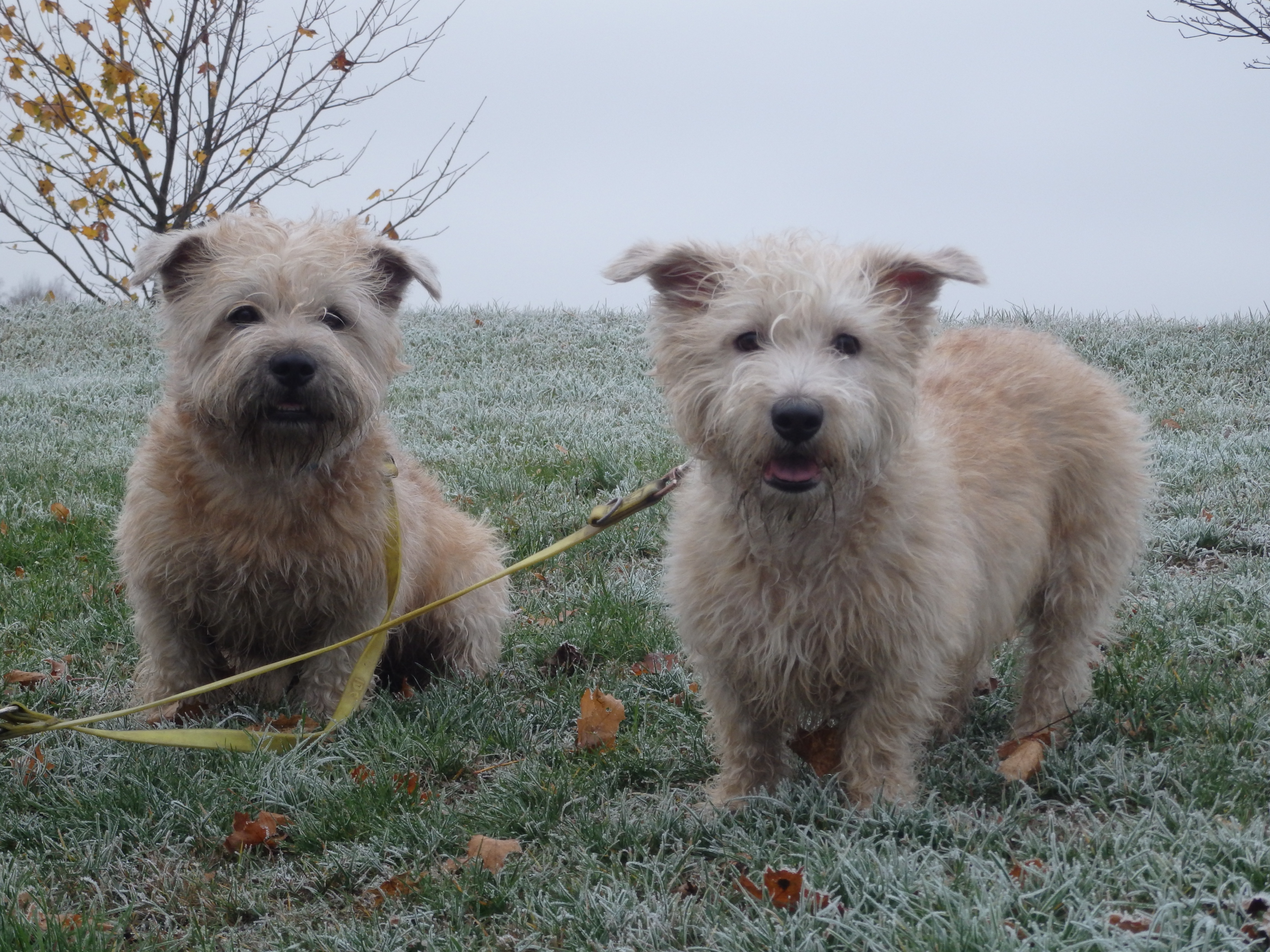 Yrjö & Minnie